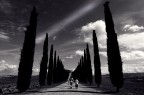 il cammino il cammino