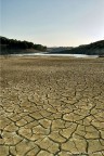 arid arid