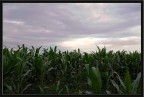 terra e cielo terra e cielo