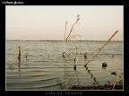 Laguna Veneta Laguna Veneta