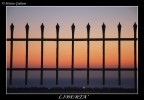 Libert�