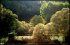 Lungo il Garigliano Lungo il Garigliano