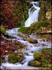 L'acqua tra i colori L'acqua tra i colori