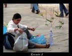 l'invasione delle locuste l'invasione delle locuste
