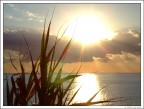 Come il sole all'improvviso... Come il sole all'improvviso...