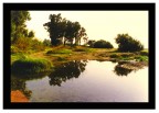 Paesaggio Paesaggio