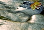 Settembre Settembre