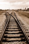 Birkenau: la fine del viaggio Birkenau: la fine del viaggio