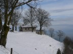 abbandono serotino abbandono serotino