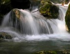 Fonte di vita Fonte di vita