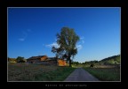 La luce della sera La luce della sera