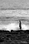 Il vecchio ed il mare Il vecchio ed il mare