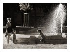 La vita è bella... La vita è bella...