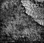lichene lichene