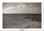 Porto Torres #1 Porto Torres #1