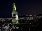 Bacardi Bacardi
