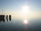 Speculare Speculare