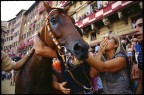 Palio di Siena -  La festa del Leocorno