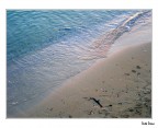 "Dove l'acqua si ferma... lì finisce il mare&qu "Dove l'acqua si ferma... lì finisce il mare&qu