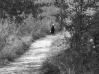 la via la via