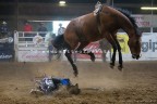 Rodeo (PV) Rodeo (PV)