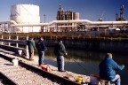Pescatori al Petrolchimico