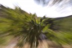 zoom zoom