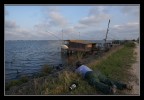 MOSAICO in azione - Cosa avr� fotografato??