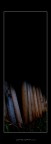 Wellcome to the darkness