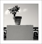 Suggerimenti e critiche bene accetti.

Ale