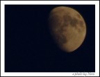 Gente della Luna