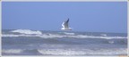 Deluso Volo Via Deluso Volo Via