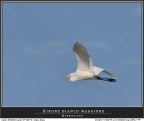 In volo! In volo!
