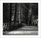 Suggerimenti e critiche bene accetti.

Ale