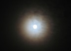 Alone di Luna Alone di Luna