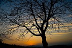 Controluce 4 Controluce 4