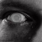 isolation series #2 isolation series #2