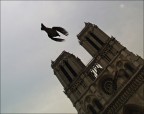 notre dame notre dame