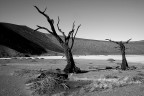 namibia desert 2 bn namibia desert 2 bn