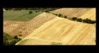 crop line