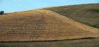 La scura terra