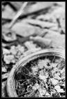 Dead Wheel Dead Wheel