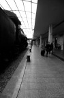pronto a partire... pronto a partire...