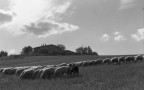 paesaggio sereno paesaggio sereno