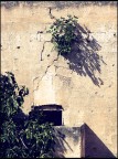 scorcio laertino scorcio laertino