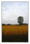 I colori del primo autunno I colori del primo autunno