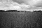 Umbria#05# Umbria#05#