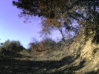 The Place Where I Died The Place Where I Died