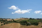 _Cartolina_Marchigiana_ _Cartolina_Marchigiana_