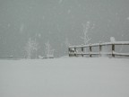 Silenzio Silenzio